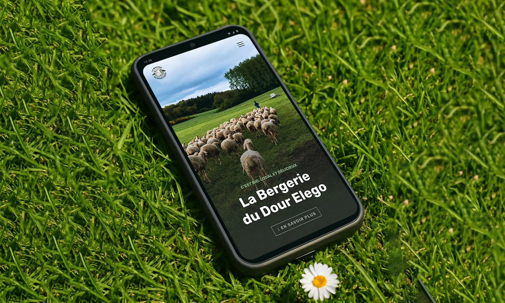 vignette bergerie dour elego